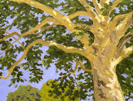 Robert Berlind, Sycamore, 2005, oil on panel, 16 x 21 inches. Courtesy of Tibor de Nagy Gallery, New York