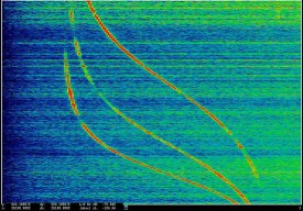 Laura Poitras, ANARCHIST: Power Spectrum Display of Doppler Tracks from a Satellite (Intercepted May 27, 2009), 2016. Pigmented inkjet print mounted on aluminum, 45 × 64-3/4 inches. Courtesy the artist
