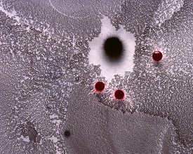 Beatrice-Pediconi, Alien B, 2016. Archival pigment print, 48 x 60 inches, edition of 5. Courtesy of the Artist and Sepia Eye, New York