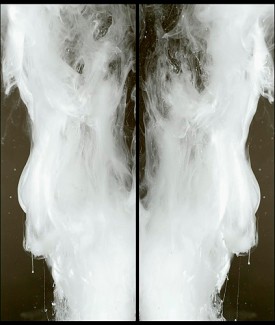 Beatrice Pediconi, still, Alien, 2016. One channel video installation, silent, 5'39", dimensions variable. Courtesy of the Artist and Sepia Eye, New York