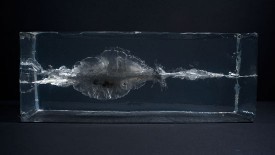 The Propeller Group, Ak47 vs. M16, 2015. Fragments of AK-47 and M16 bullets, ballistics gel, and custom vitrine, 7 1/8 x 16 7/8 x 7 1/4 inches. Courtesy of the artists and James Cohan Gallery.