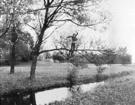 Bas Jan Ader, Broken fall (organic), Amsterdamse Bos, Holland, 1971/1994. Silver gelatin print, 18 x 25 inches. Courtesy of the artist and Simon Lee Gallery.