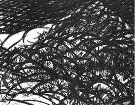 László Moholy-Nagy, drawing,. 1918, caption details to follow