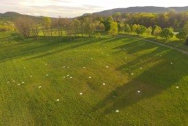 Dennis Oppenheim, Wishing The Mountains Madness, 1977/2016. Painted wood star units, each 48 x 48 inches, covering 2 acres. Fabricated at Storm King Art Center.