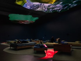Installation view, fourth floor, Pipilotti Rist: Pixel Forest, New Museum, 2016.