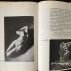 Pages from Leo Steinberg's Other Criteria (1971) with Rodin's Torse d'Adèle, 1882, and Eternal Spring, 1884