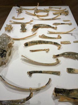 Barbara Hammer, Cancer Bones, 1994. Gelatin print on calf bones, 30 parts. Courtesy of the artist.