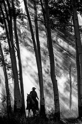 Hannes Schmid, Walk in the Woods, 1998. 23.5 x 15.75 inches. Courtesy of Mitchell Algus Gallery