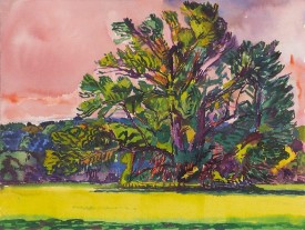 Graham Nickson, Monumental Tree - Serena’s Tree, Pink Sky, 2000. Watercolor on paper, 18 x 24. Courtesy of the Louis-Dreyfus Family Collection