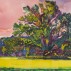 Graham Nickson, Monumental Tree - Serena’s Tree, Pink Sky, 2000. Watercolor on paper, 18 x 24. Courtesy of the Louis-Dreyfus Family Collection