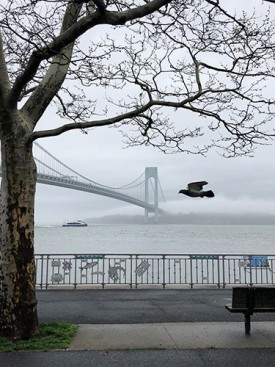 Roe Ethridge, Verrazano Bridge, 2019. Dye sublimation print on aluminum, 44 x 33 inches. Courtesy of the artist and Andrew Kreps Gallery, New York.