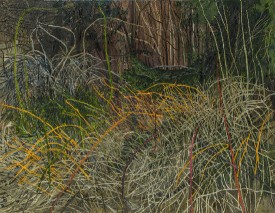 Margaret Grimes, Raspberries, Forsythia, Wild Roses and Evergreens, 2016. Oil on linen, 48 x 60 inches. Courtesy of the Artist