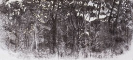 Margaret Grimes, Sunset, Smith House, 2016. Charcoal, chalk and pastel on paper, 24 x 51 inches. Courtesy of the Artist