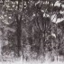 Margaret Grimes, Sunset, Smith House, 2016. Charcoal, chalk and pastel on paper, 24 x 51 inches. Courtesy of the Artist